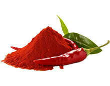 Red Chillies (Whole & Powder)