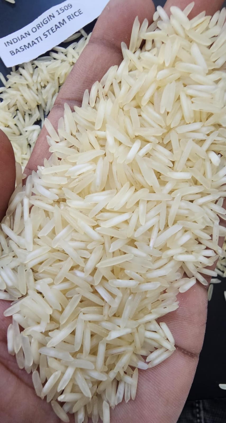 1509 Steam Basmati Rice