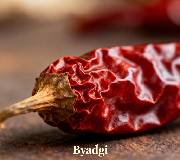 Byadgi