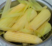 Maize (Corn – yellow & white)