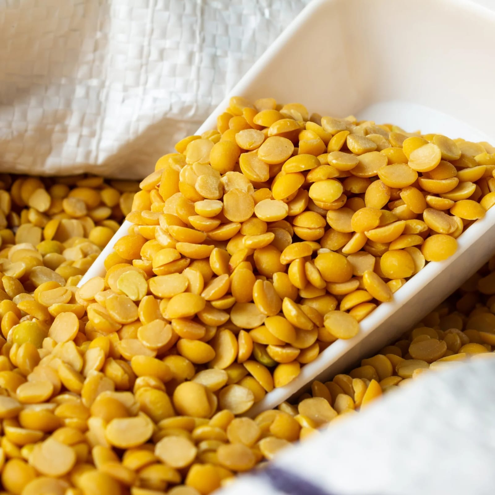Pigeon Pea (Toor Dal)