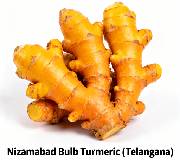 Nizamabad Bulb Turmeric (Telangana)