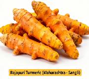 Rajapuri Turmeric (Maharashtra – Sangli Region)